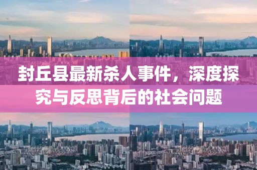 封丘县最新杀人事件，深度探究与反思背后的社会问题