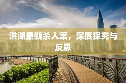 洪湖最新杀人案，深度探究与反思