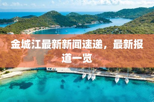 金城江最新新闻速递，最新报道一览