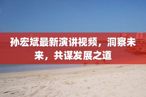 孙宏斌最新演讲视频，洞察未来，共谋发展之道