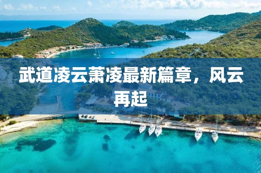 武道凌云萧凌最新篇章，风云再起