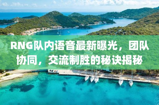 RNG队内语音最新曝光，团队协同，交流制胜的秘诀揭秘