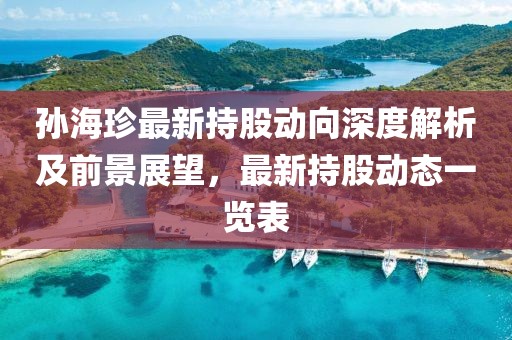 孙海珍最新持股动向深度解析及前景展望，最新持股动态一览表