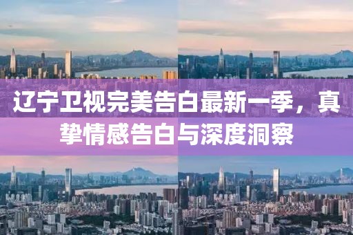 辽宁卫视完美告白最新一季，真挚情感告白与深度洞察