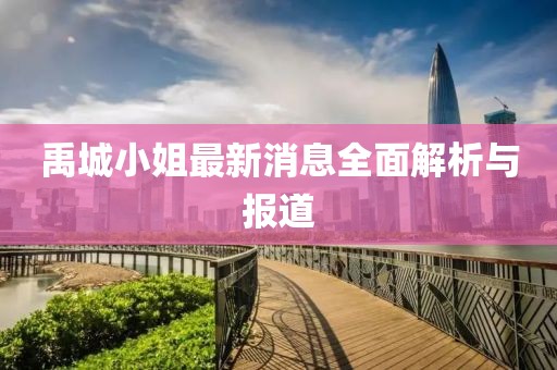 禹城小姐最新消息全面解析与报道