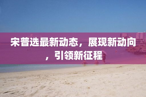 宋普选最新动态，展现新动向，引领新征程