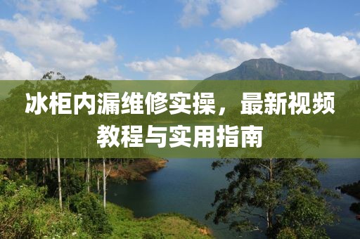 冰柜内漏维修实操，最新视频教程与实用指南