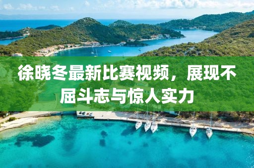 徐晓冬最新比赛视频，展现不屈斗志与惊人实力