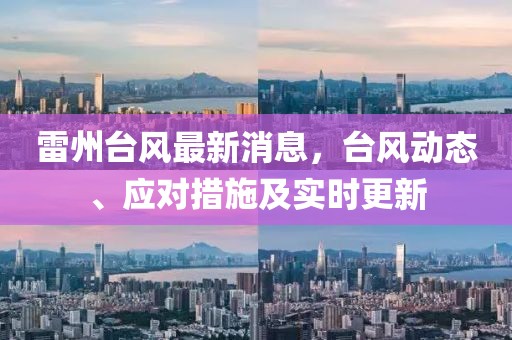 雷州台风最新消息，台风动态、应对措施及实时更新