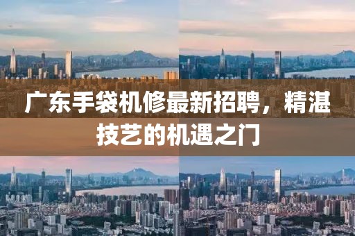 广东手袋机修最新招聘，精湛技艺的机遇之门