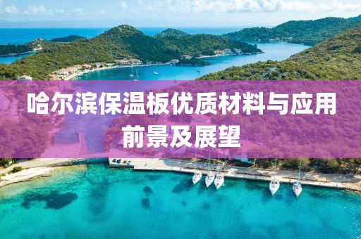哈尔滨保温板优质材料与应用前景及展望