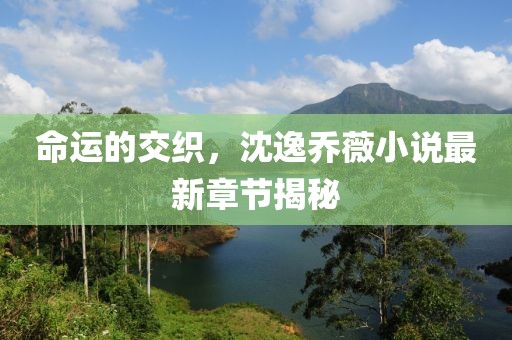 命运的交织，沈逸乔薇小说最新章节揭秘