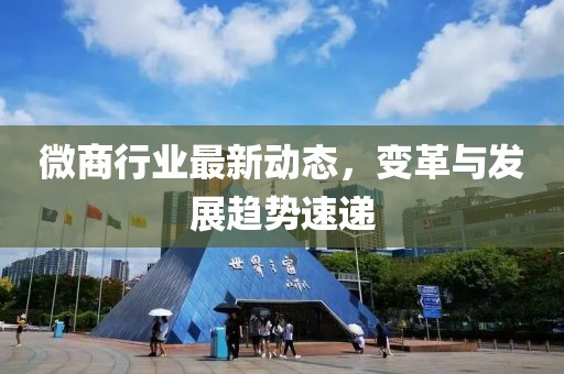 微商行业最新动态，变革与发展趋势速递