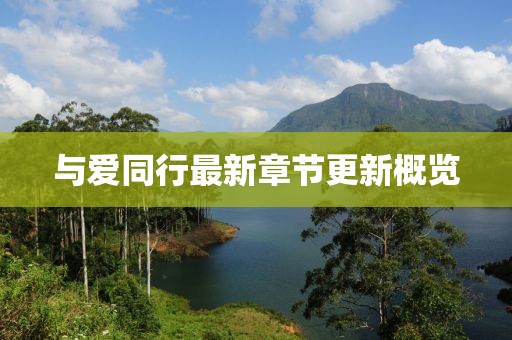 与爱同行最新章节更新概览