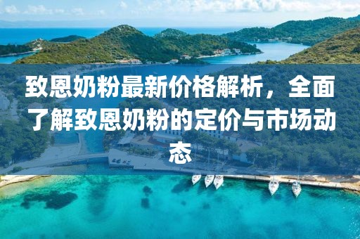 致恩奶粉最新价格解析，全面了解致恩奶粉的定价与市场动态