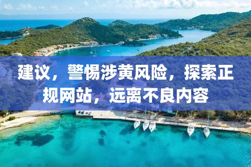 建议，警惕涉黄风险，探索正规网站，远离不良内容