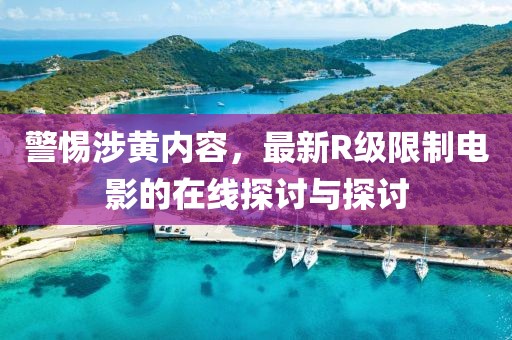 警惕涉黄内容，最新R级限制电影的在线探讨与探讨