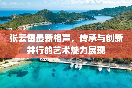 张云雷最新相声，传承与创新并行的艺术魅力展现