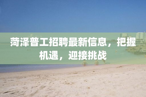 2025年2月 第378页