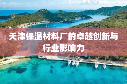 天津保温材料厂的卓越创新与行业影响力