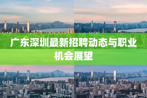 广东深圳最新招聘动态与职业机会展望