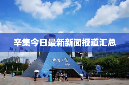 辛集今日最新新闻报道汇总