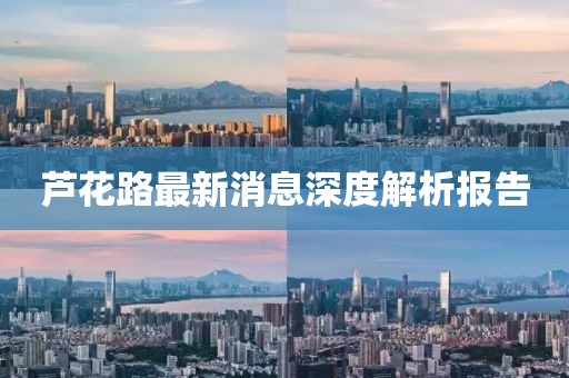 芦花路最新消息深度解析报告