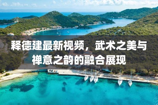 释德建最新视频，武术之美与禅意之韵的融合展现