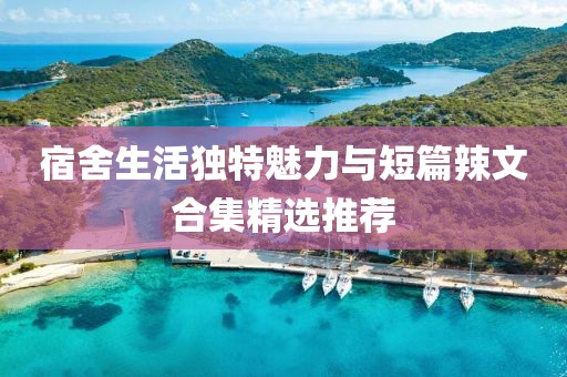 宿舍生活独特魅力与短篇辣文合集精选推荐