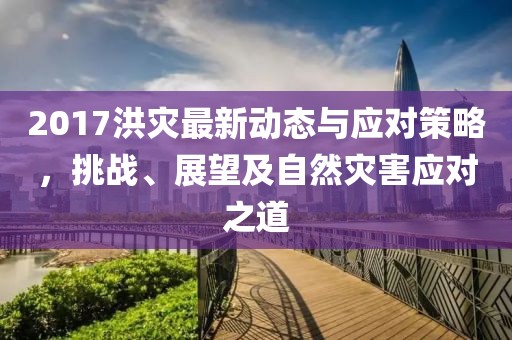 2017洪灾最新动态与应对策略，挑战、展望及自然灾害应对之道