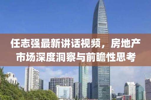 任志强最新讲话视频，房地产市场深度洞察与前瞻性思考