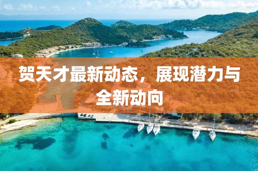 贺天才最新动态，展现潜力与全新动向