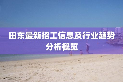 田东最新招工信息及行业趋势分析概览