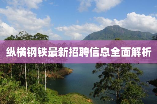 纵横钢铁最新招聘信息全面解析