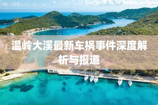 温岭大溪最新车祸事件深度解析与报道