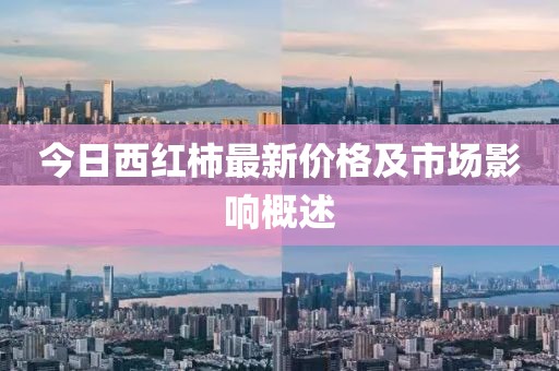 安逸 第13页