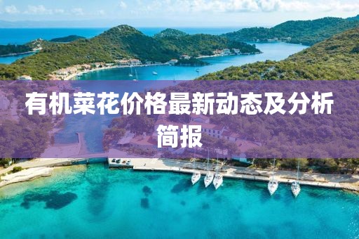 有机菜花价格最新动态及分析简报