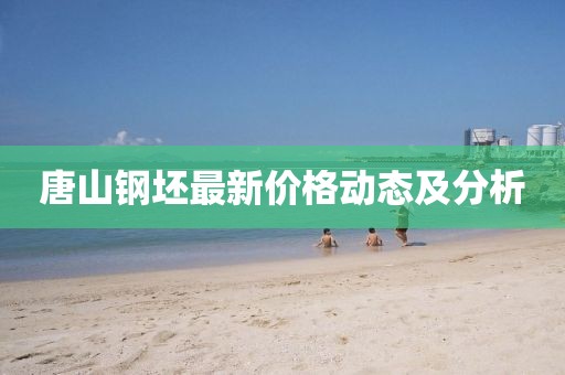 南锣 第13页