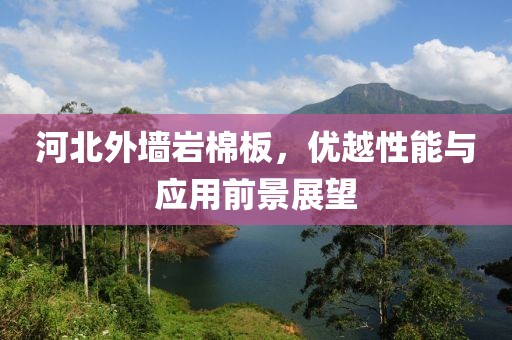 河北外墙岩棉板，优越性能与应用前景展望