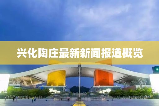 兴化陶庄最新新闻报道概览