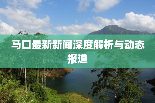 马口最新新闻深度解析与动态报道