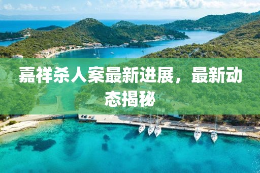 嘉祥杀人案最新进展，最新动态揭秘