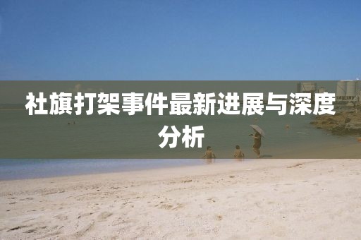 社旗打架事件最新进展与深度分析