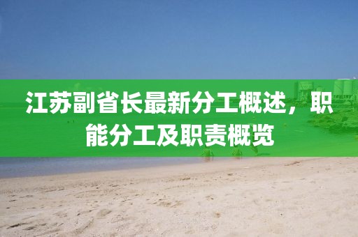 江苏副省长最新分工概述，职能分工及职责概览