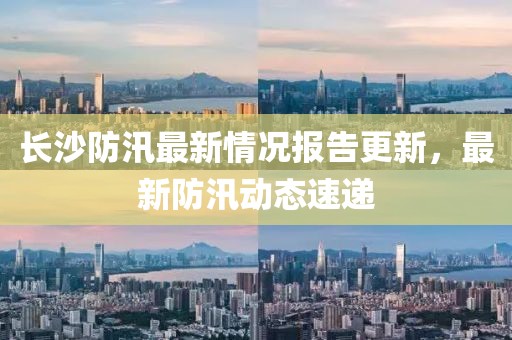 长沙防汛最新情况报告更新，最新防汛动态速递