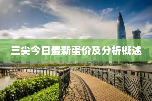 三尖今日最新蛋价及分析概述