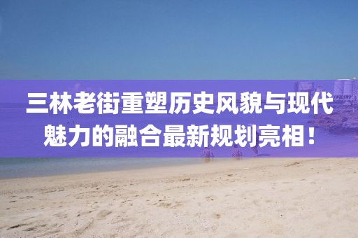 三林老街重塑历史风貌与现代魅力的融合最新规划亮相！