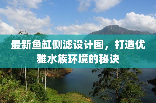 最新鱼缸侧滤设计图，打造优雅水族环境的秘诀