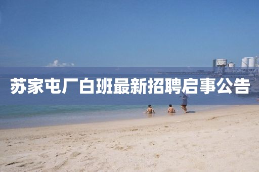 苏家屯厂白班最新招聘启事公告