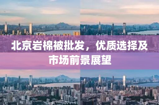 北京岩棉被批发，优质选择及市场前景展望